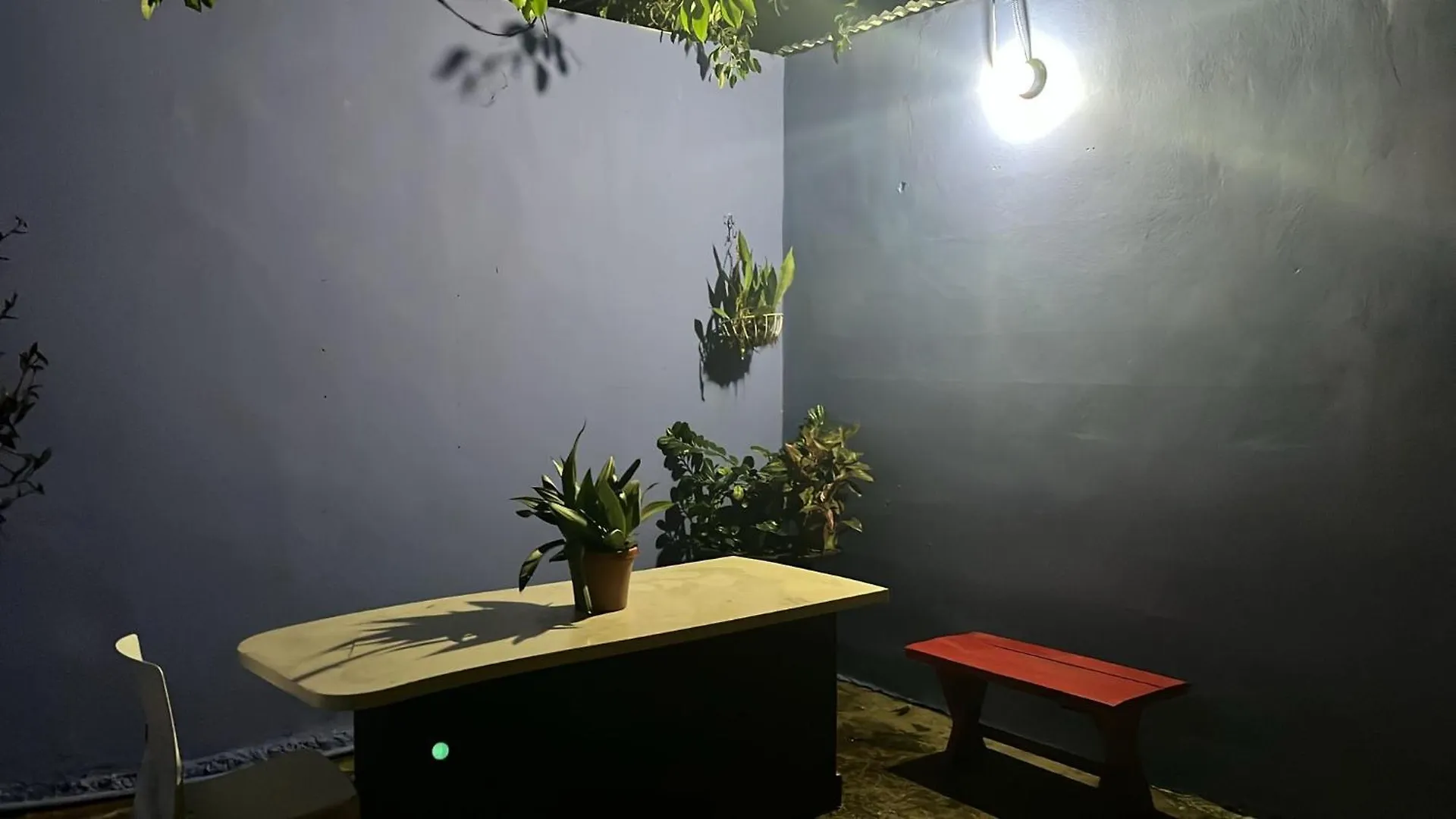 호스텔 Beach Dorms 산후안